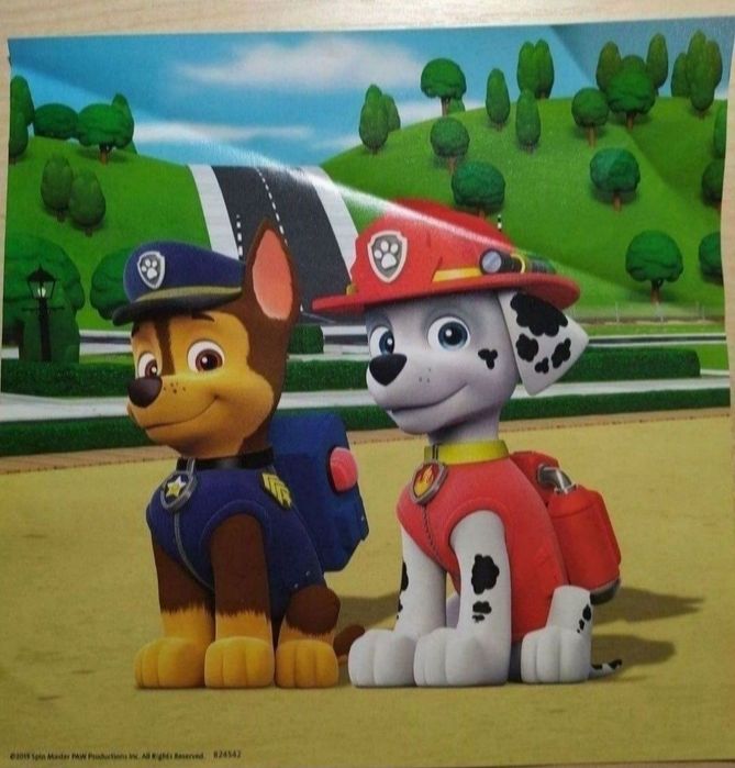Пазли Paw Patrol Щенячий патруль 3*49