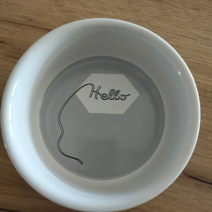 Miska ceramiczna dla świnki morskiej