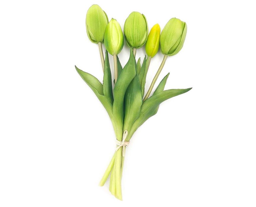 Tulipan sztuczny tulipany silikonowe bukiet 5 sztuk ZIELONY