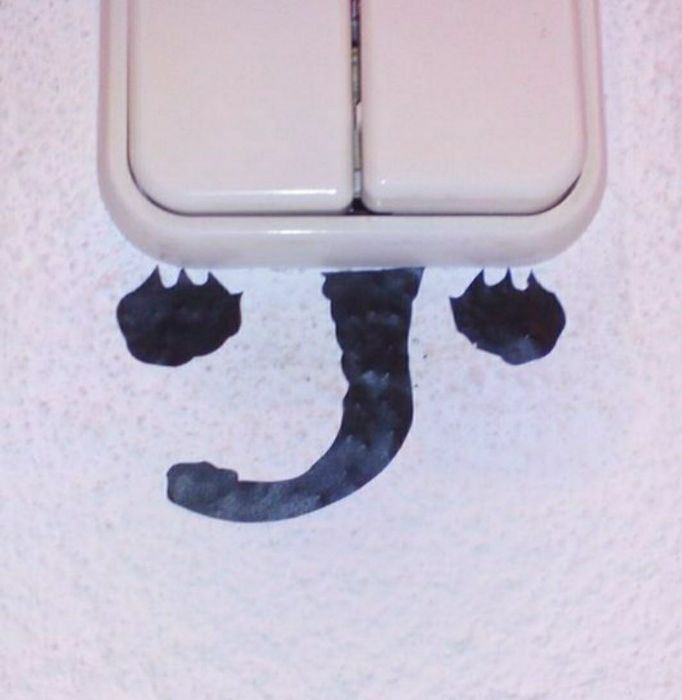Gato pendurado no interruptor.