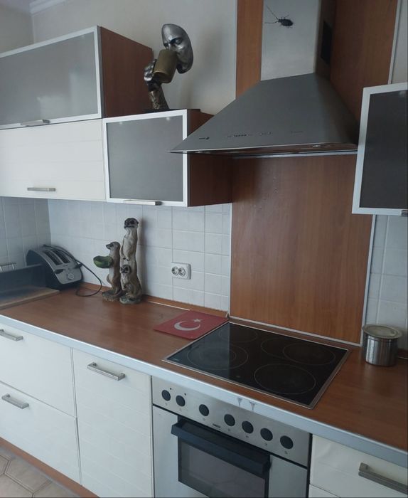 Ремонт,новий будинок.2 санвузла,камін