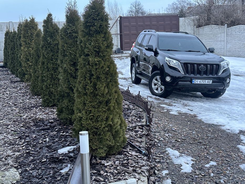 Тойота прадо Toyota Land Cruiser Prado 150 D-4D