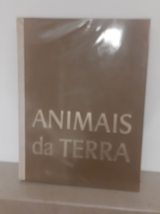 Animais da terra