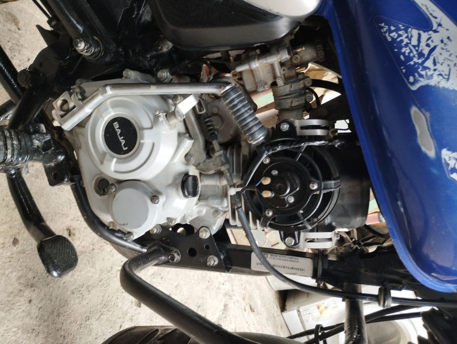 Продам баджач боксер 150