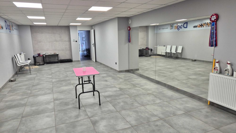 Do wynajęcia lokal użytkowy 150m2 Żyrardów Centrum ul.1 Maja