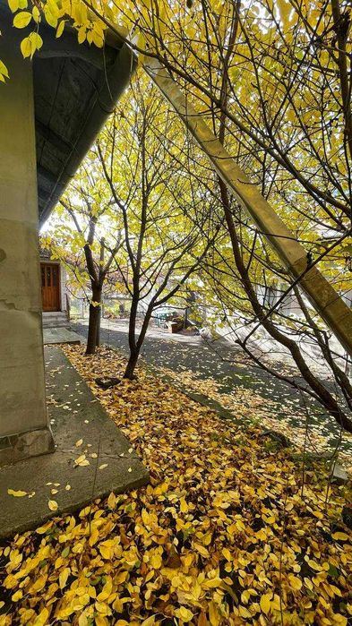 Продається земельна ділянка 9,01 сотих, з житловим будинком!!