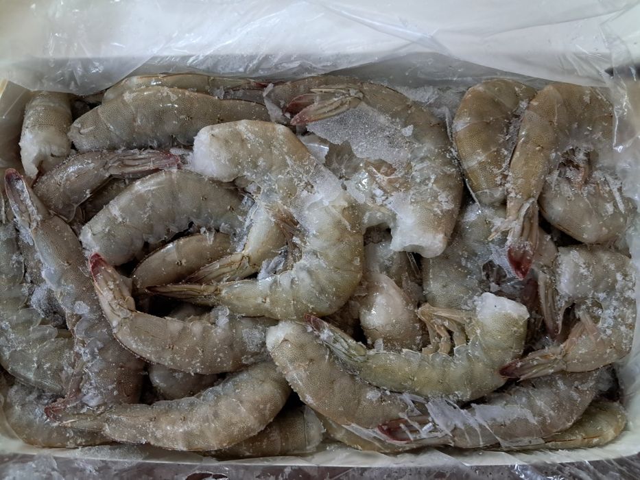 Креветка сухої замлрозки, розмір 16/20