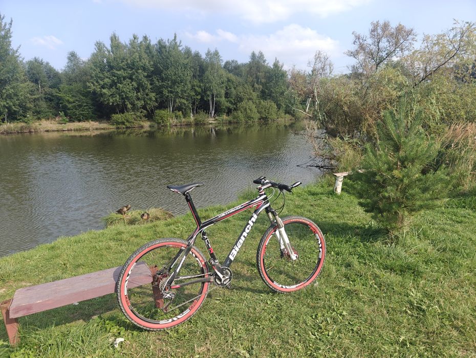 Bianchi methanol sl1 8.5кг