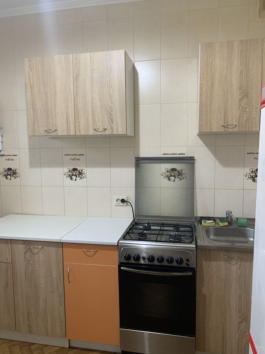 Оренда квартири. Метро Теремки, Новосілки, Озерна, 4