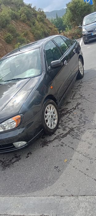 Nissan primeira 1.6