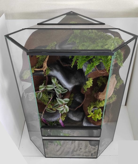 Terrarium narożne z wodospadem dla gekona orzęsionego, TN15W AquaWaves