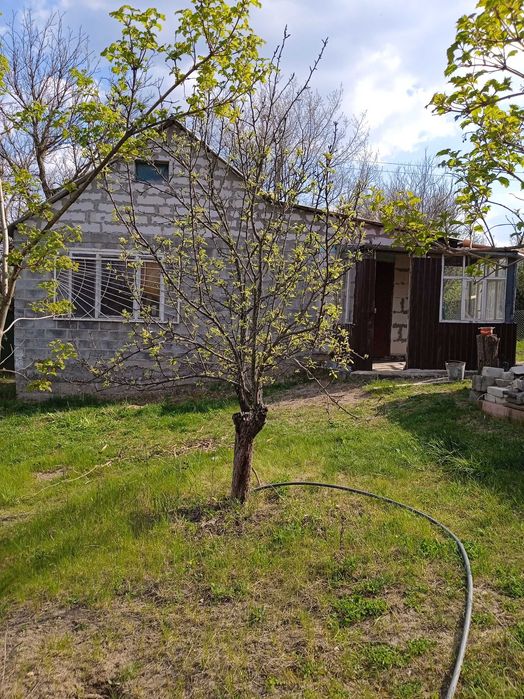 продам дачу жд.пл.Асютовка за две ост.до Змиева.От платформы до дачи пять минут справа по ходу электрички.