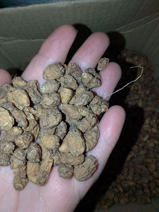 Чуфа на посадку.