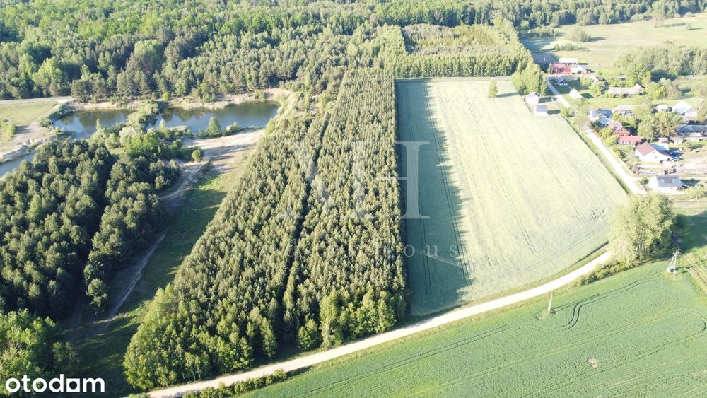 Zielone Podlasie – działka z warunkami zabudowy, blisko Hajnówki!