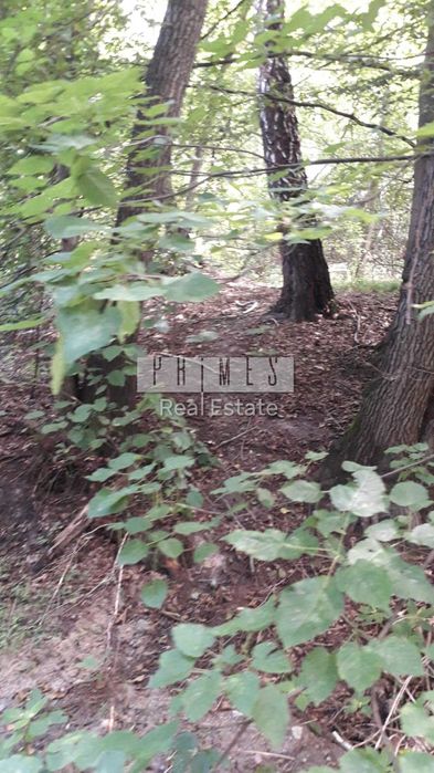 Продається земельна ділянка площею в Мархалівкі