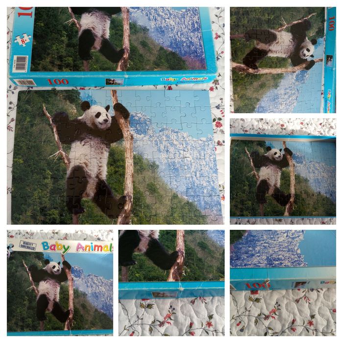 Book with Puzzles64365342858241127