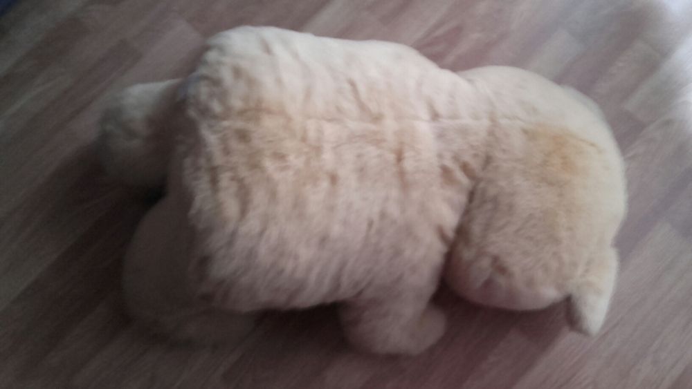 Peluche Tays R US /urso