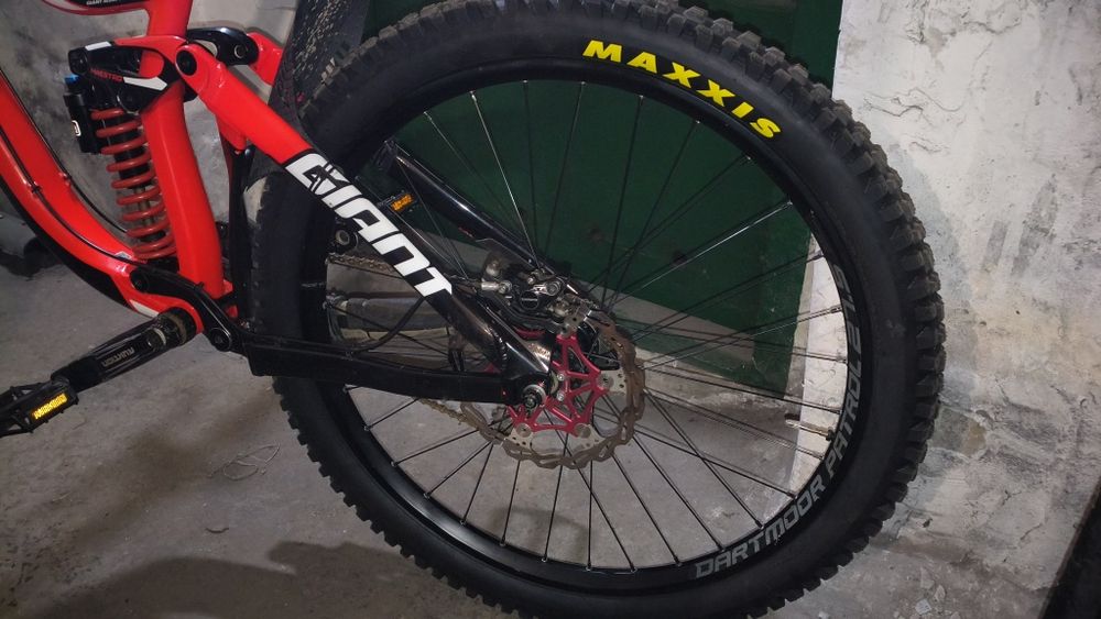 Giant Glory 2 2018 L