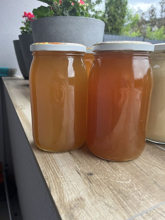 MIÓD wielokwiatowy 2 SŁOIKI z czerwca 2025r.