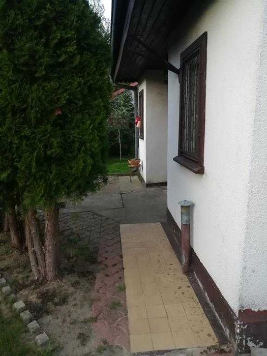 Duża działka ROD Wronki Borek