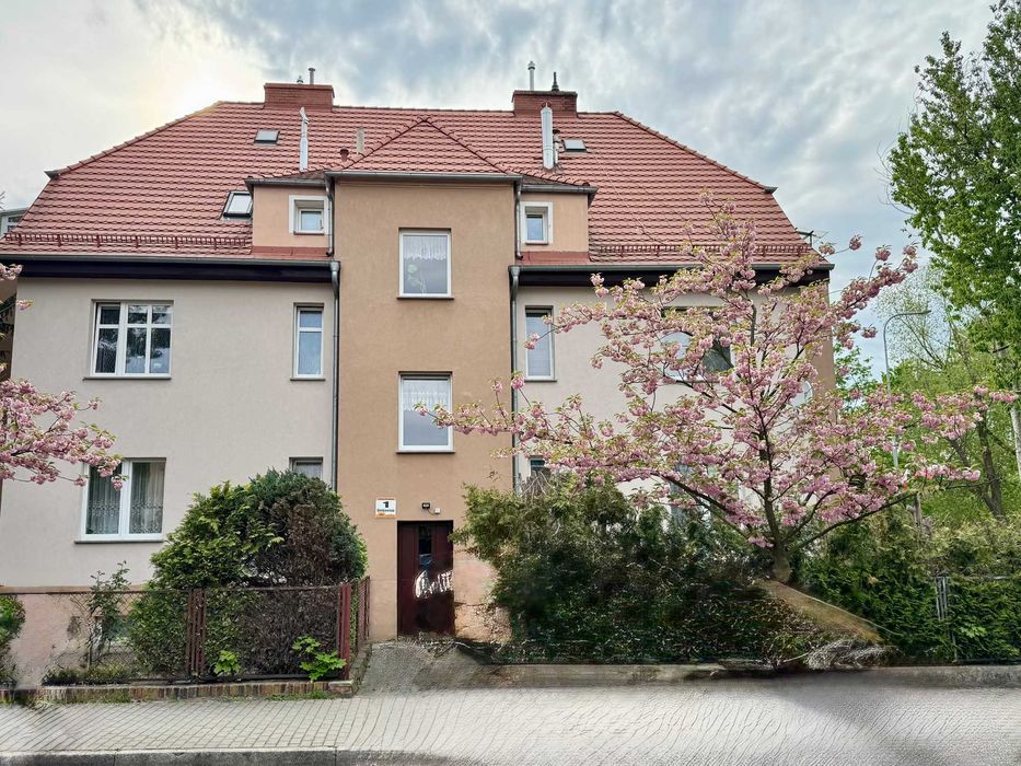 Mieszkanie wynajem Chojnów