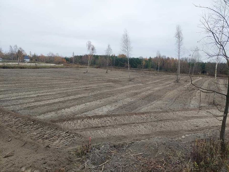 mulczer leśny czyszczenie działek rekultywacją koszenie wycinka