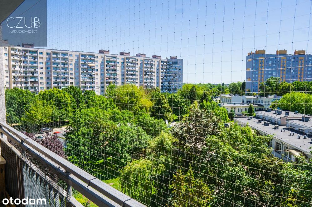 Os. Orła Białego / winda / balkon / przestronne / niezależne - View 5