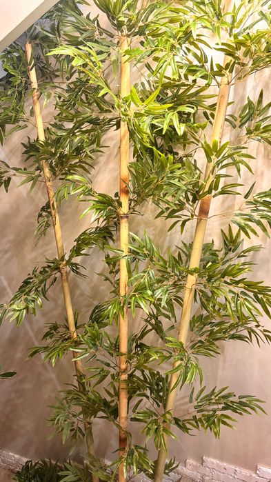 Бамбук штучний дерева