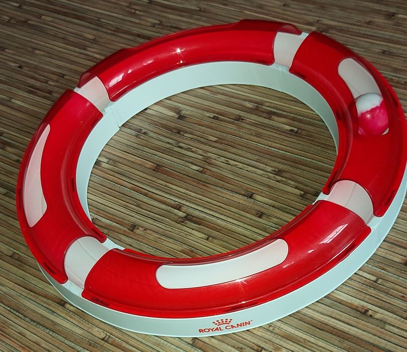 Игровой трек для кошки.