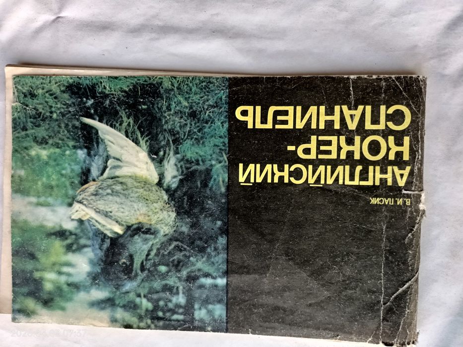 В.И. Пасик. Английский кокерспаниель