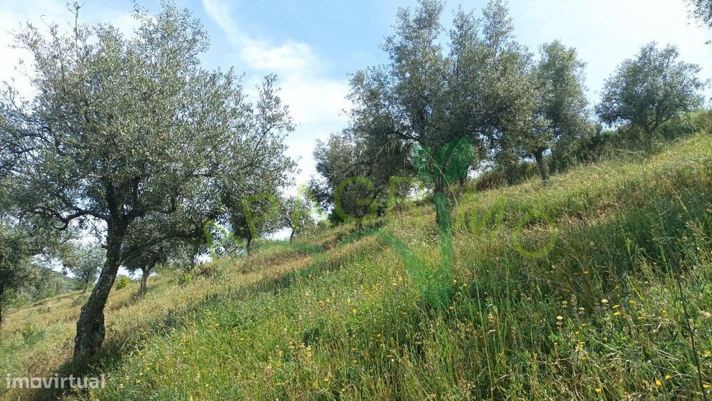 Terreno rústico "Parceria" no Souto, Penedono — Souto, Viseu