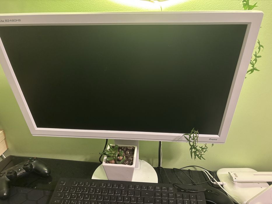 Iiyama pro lite polecam