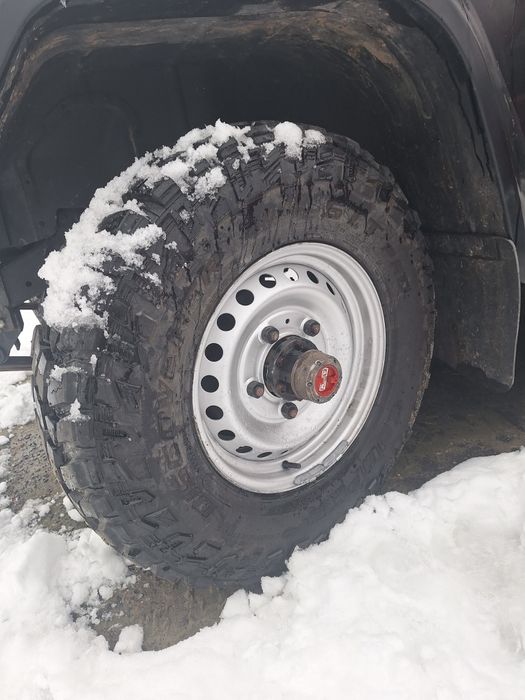 Spzedaz iveco massiff