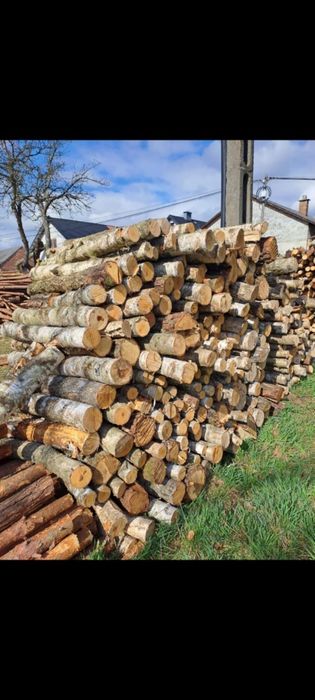 Sprzedam drewno opałowe/kominkowe Okazja!