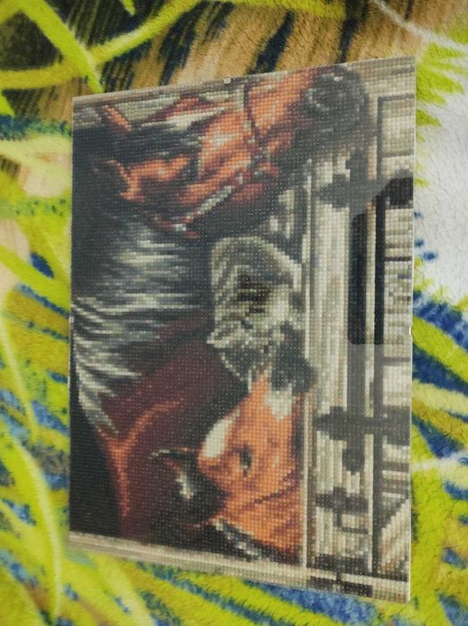 Obraz haftu diamentowego konie