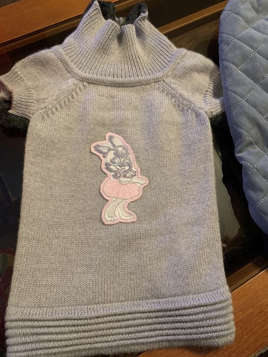 Roupa para cães de pequeno porte