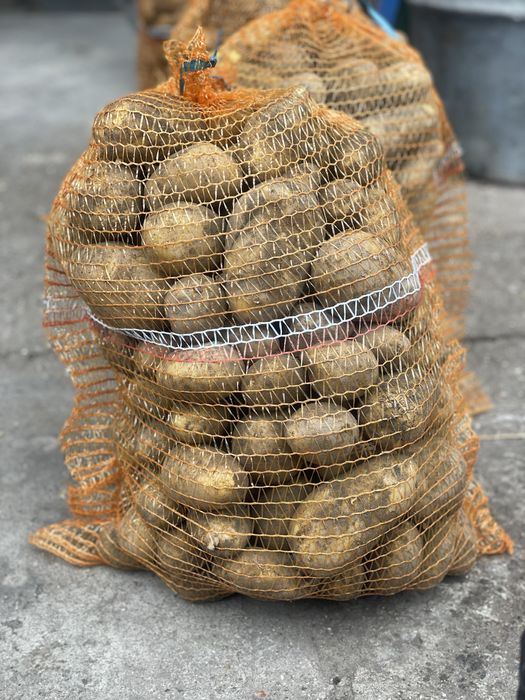 Ziemniaki odmiana Lili 15kg