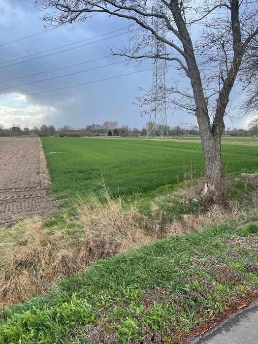 Działka rolno-budowlana