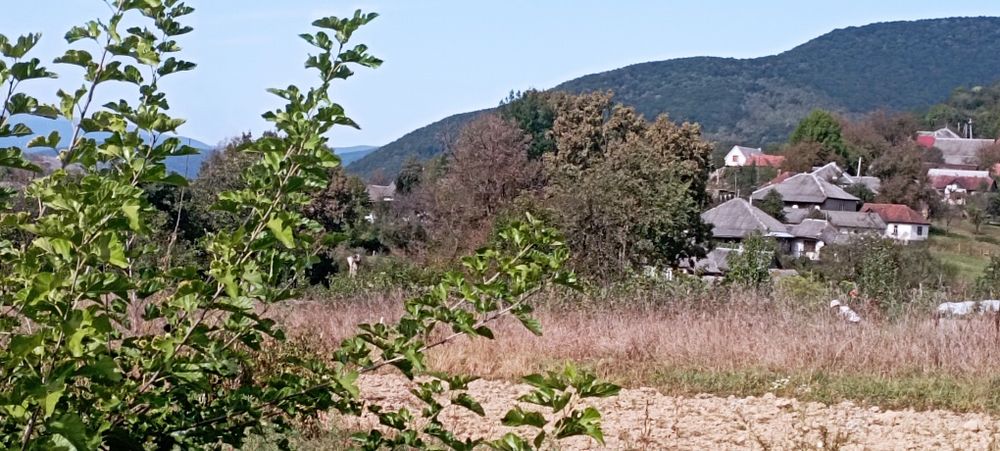 Ціну знижено! Продамо будинок та 25 соток Голубине на пагорбі