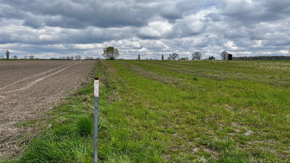 Działka do zabudowy mieszkaniowej jednorodzinnej - Widok 2