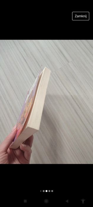 książka Miłość dzielona na 2 Sabine Both
