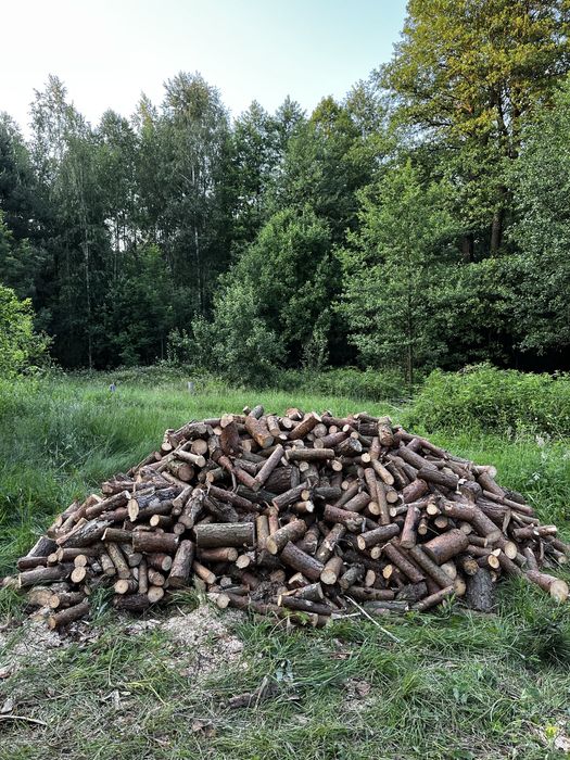 Drewno opałowe – dąb, grab, brzoza, sosna – transport GRATIS