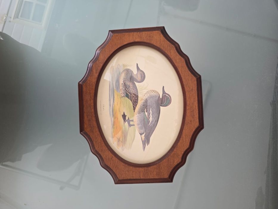 Quadro patos vintage