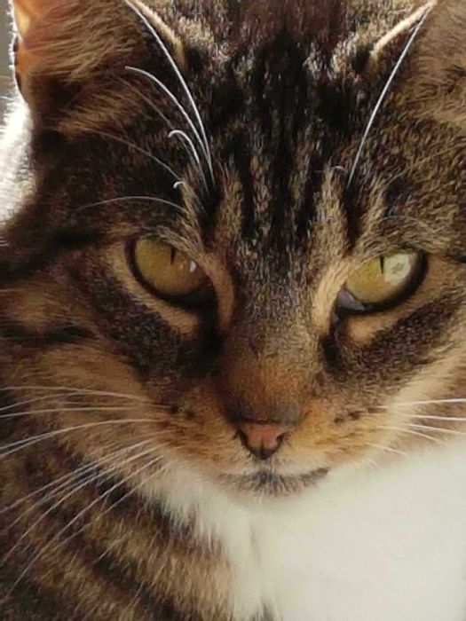 Dom pilnie poszukiwany