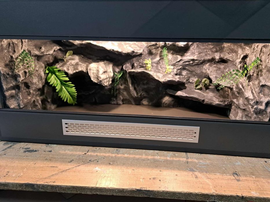 Terrarium promocja