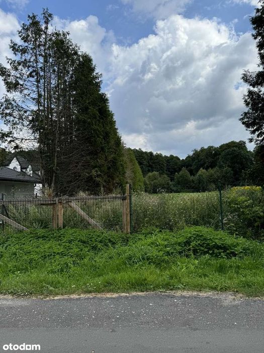 Działa Mała Nieszawka, Toruń, Wielka Nieszawka, ul. Leśna