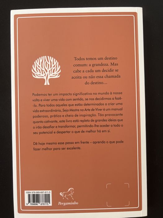 Livro - Robin Sharma, Seja mestre na arte de viver
