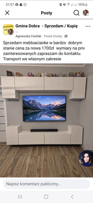 Mebloscianka biała