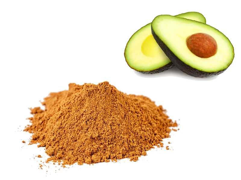 Mąka z pestek avocado 1 kg proszek z pestek awokado