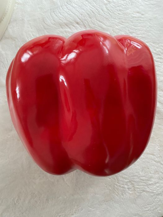 Donica papryka duża